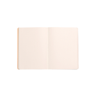 Rhodia Rhodiarama Softcover Notebook in Aqua - A5