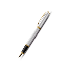 Parker Meridian Fountain Pen in Chrome with Gold Trim - Fine