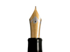 Namiki Chinkin Fountain Pen in Wolf Moon - 18K Gold Nib