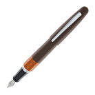 Pilot MR Chanomegumi Fountain Pen in Brown - Limited Edition