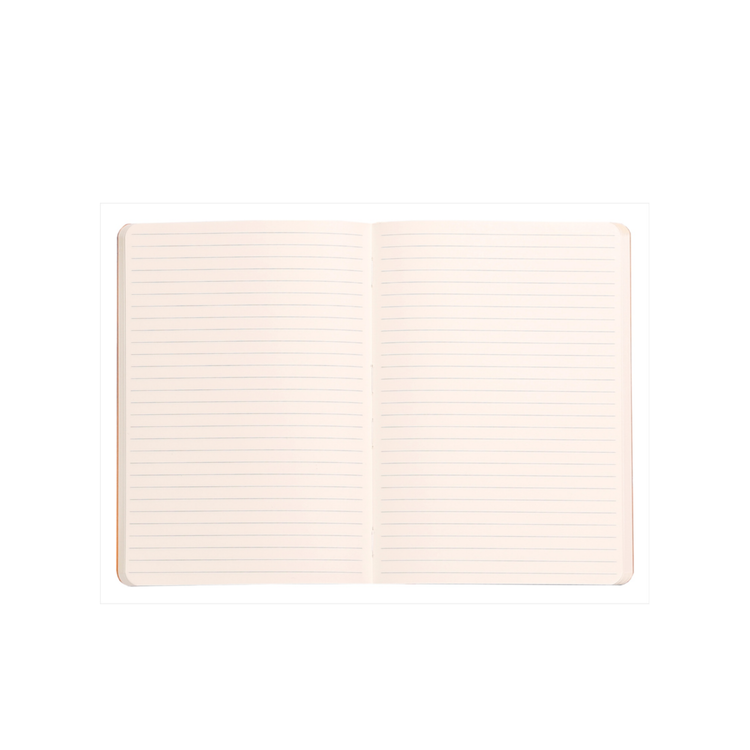 Rhodia Rhodiarama Softcover Notebook in Aqua - A5