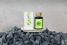 Lennon Tool Bar Spring 2026 Fountain Pen Ink in Maidenhair Fern - 30ml