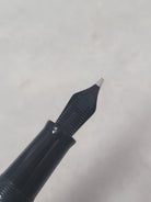 Misfit Item 0099 Nahvalur Original Fountain Pen - Peter Draws Artist Edition Silver - 1.1mm Stub Nib