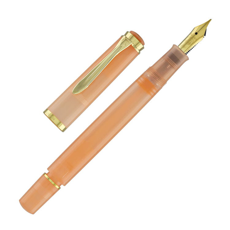 Pelikan Classic M200 Fountain Pen & Edelstein Ink Bottle in Apricot Achat 2025 Set