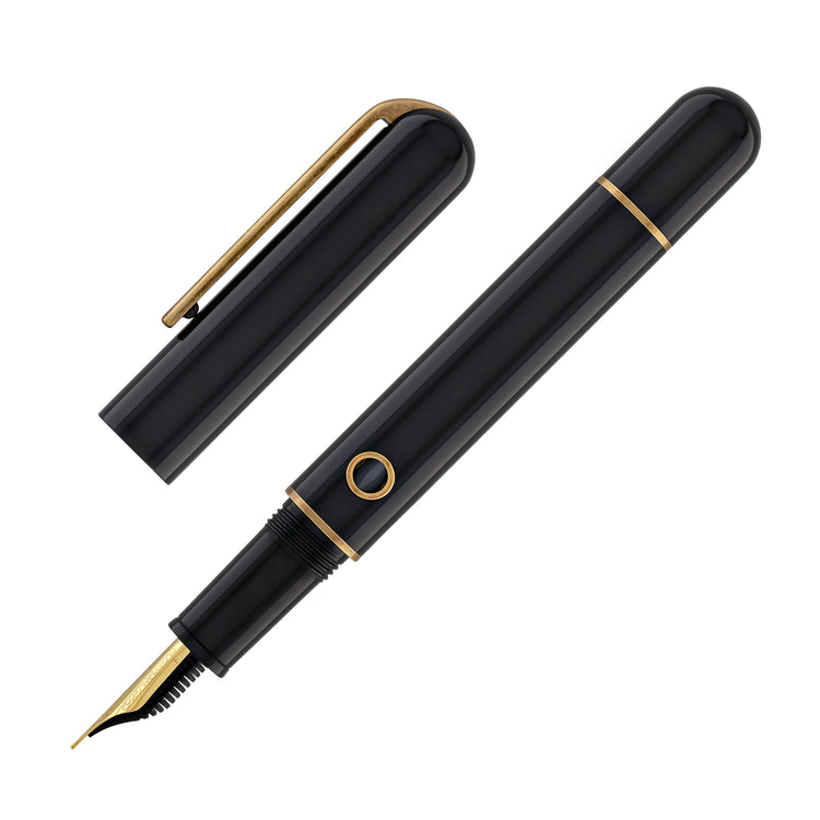 Narwhal Nautilus Fountain Pen in Bronze Corydoras