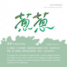 Lennon Tool Bar The Poetry of Light Series Fountain Pen Ink in Cong Cong - 30ml