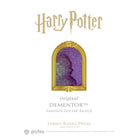 Ferris Wheel Press x Harry Potter Themed Masque Fountain Pen & 10ml Ink Set in Dementor