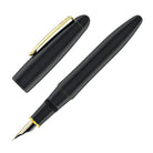 Platinum Izumo Fountain Pen in Soratame Green - Fine Point