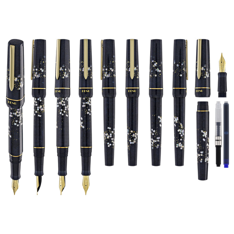 Benu Haute Fountain Pen in Movie Star - Special Edition