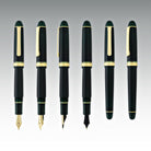 Platinum 3776 Century Fountain Pen in Laurel Green - 14K Gold