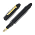 Platinum Izumo Fountain Pen in Soratame Green - Fine Point