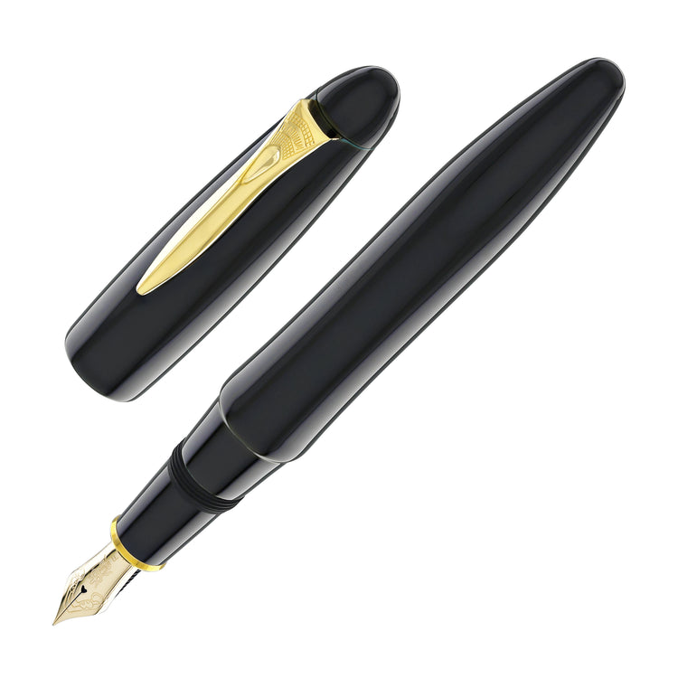 Platinum Izumo Fountain Pen in Soratame Green - Fine Point