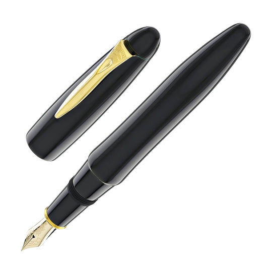 Platinum Izumo Fountain Pen in Soratame Green - Fine Point
