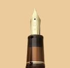 Sailor Professional Gear Standard Fountain Pen in Iriomote Cat F3 - Overseas Limited Edition