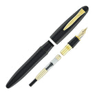 Platinum Izumo Fountain Pen in Soratame Green - Fine Point