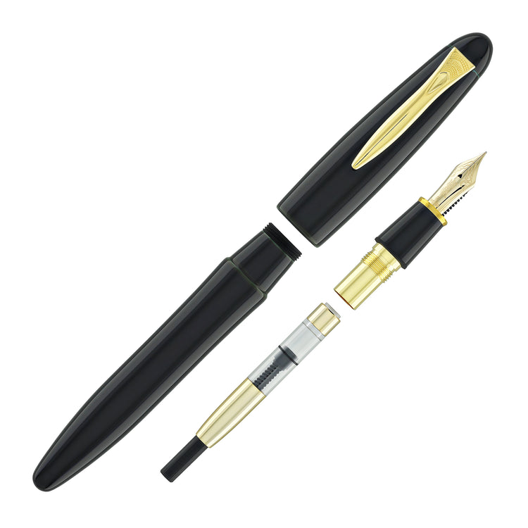 Platinum Izumo Fountain Pen in Soratame Green - Fine Point