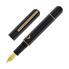 Narwhal Nautilus Fountain Pen in Bronze Corydoras