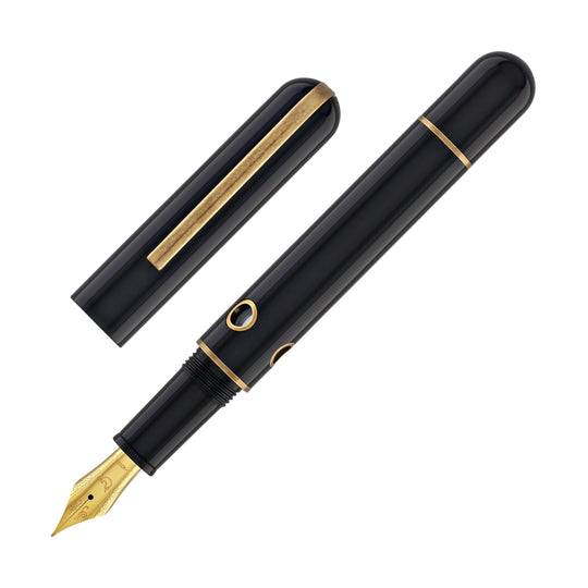 Narwhal Nautilus Fountain Pen in Bronze Corydoras
