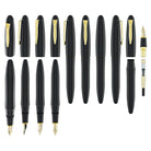 Platinum Izumo Fountain Pen in Soratame Green - Fine Point