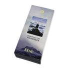 Benu Tribute to the Wanderer Fountain Pen Goldspot Exclusive