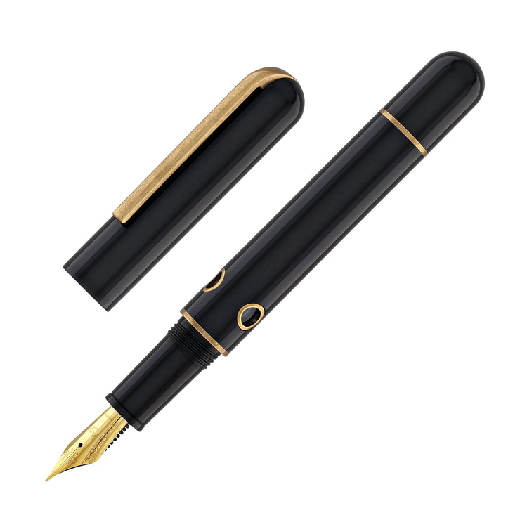 Narwhal Nautilus Fountain Pen in Bronze Corydoras
