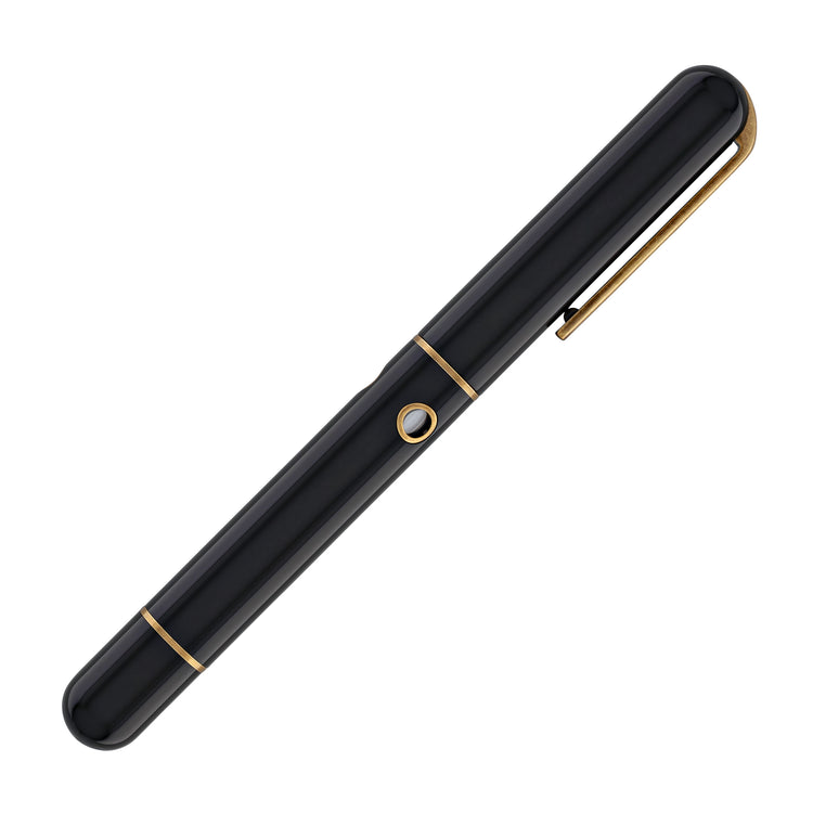 Narwhal Nautilus Fountain Pen in Bronze Corydoras