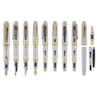 Platinum 3776 Century Fountain Pen in Ver. 2 Demonstrator - 14K Gold