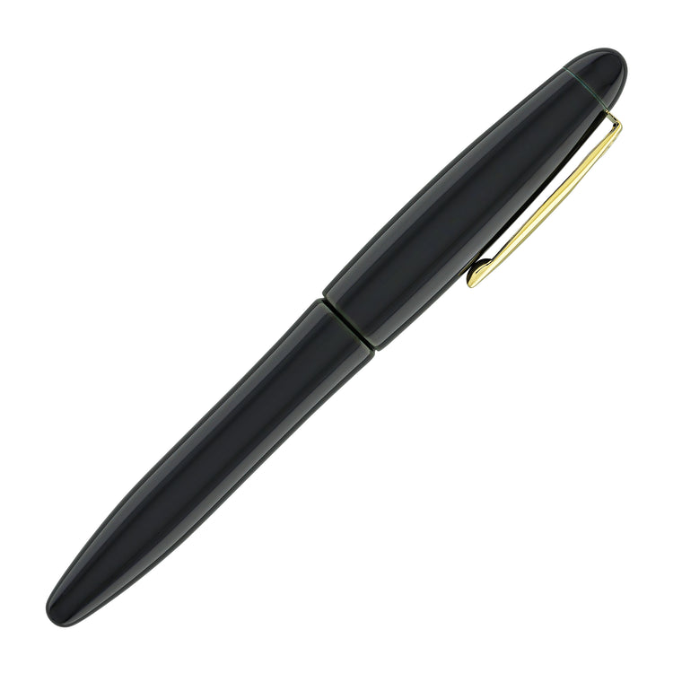 Platinum Izumo Fountain Pen in Soratame Green - Fine Point
