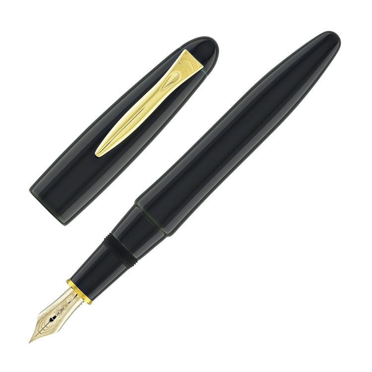 Platinum Izumo Fountain Pen in Soratame Green - Fine Point