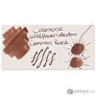 Colorverse Project Ink Vol. 10 Bottled Ink in No.073 Common Reed - 15mL Bottled Ink