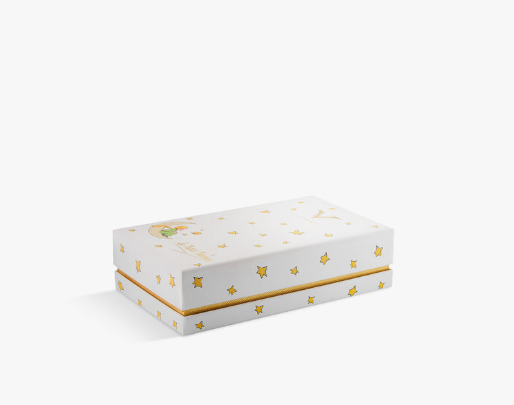 Visconti Rollerball Pen in Le Petit Prince