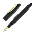 Platinum Izumo Fountain Pen in Soratame Green - Fine Point
