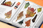 Dominant Industry The Ink Archiving Book ’A log of Atlantis’ Color Swatch Organizer