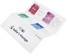 Sailor's Voyage 20th Anniversary Milestone 20ml Bottled Ink Set Limited Edition - Set of 4