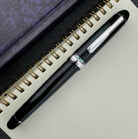 Platinum 3776 Century Fountain Pen in Laurel Green - 14K Gold