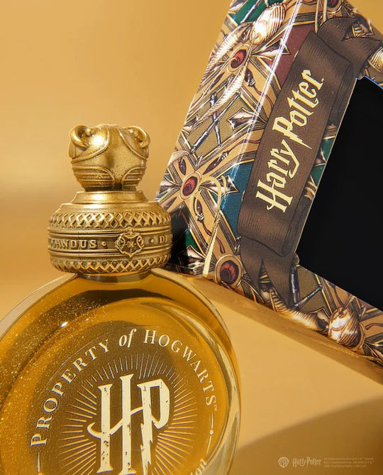 Ferris Wheel Press x Harry Potter Bottled Ink in The Golden Snitch - 38 mL
