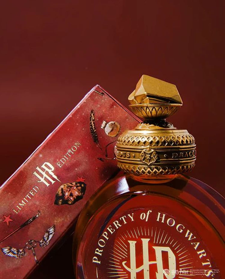 Ferris Wheel Press x Harry Potter Bottled Ink in The Sorcerer’s Stone - 38 mL Bottled Ink