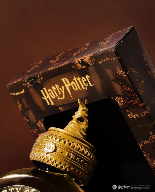 Ferris Wheel Press x Harry Potter Bottled Ink in The Sorting Hat - 38 mL
