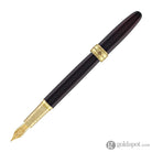 Ferris Wheel Press x Harry Potter Joule Fountain Pen in Gryffindor Fountain Pen