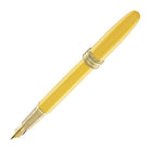 Ferris Wheel Press x Harry Potter Joule Fountain Pen in Hufflepuff Fountain Pen