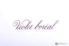 J. Herbin Essential Bottled Ink in Violet Boreal Bottled Ink