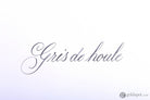 J. Herbin Fountain Ink Cartridges in Gris de Houle - Pack of 7 Fountain Pen Cartridges