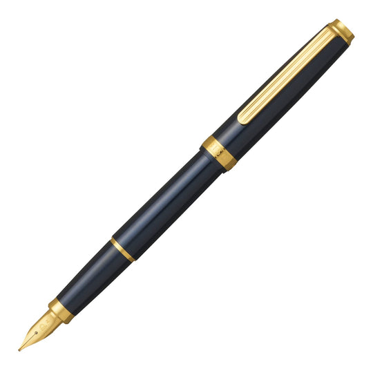 Platinum Biso Fountain Pen in Nebula Black