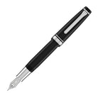 Sailor Pro Gear Regular Fountain Pen in Ginza Silver - 21kt Gold Fountain Pen
