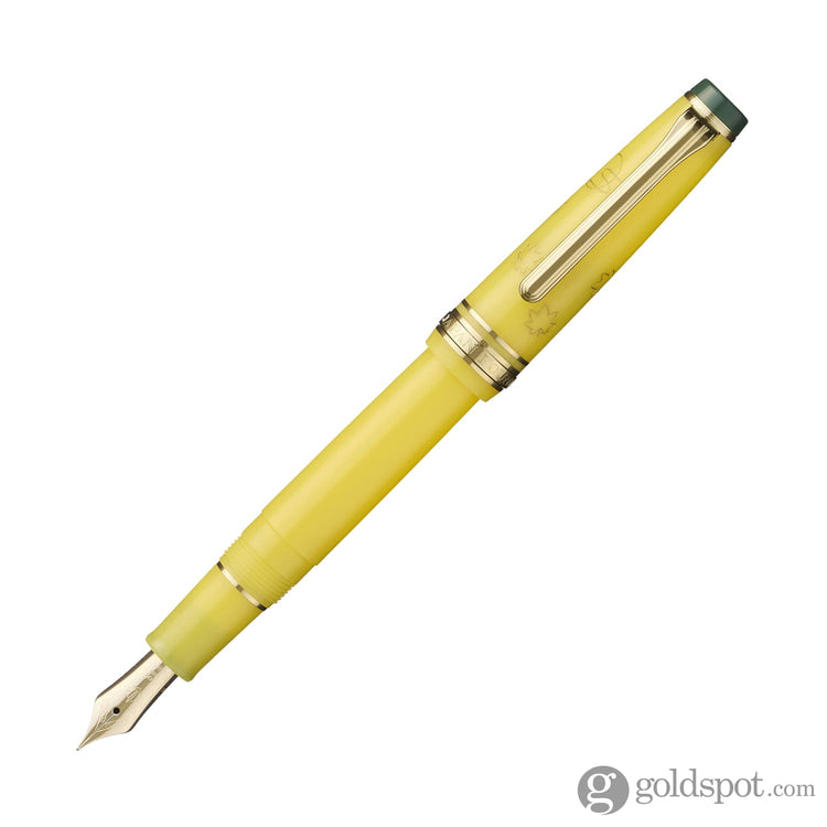 Sailor Pro Gear Slim Japanese Scenery Series Fountain Pen in Tasogare - 14kt Gold Fine Fountain Pen