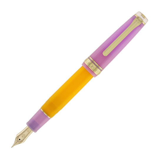 Sailor Pro Gear Smoothie Regular 2nd Edition Fountain Pen in Acai Berry - 21kt Gold Nib