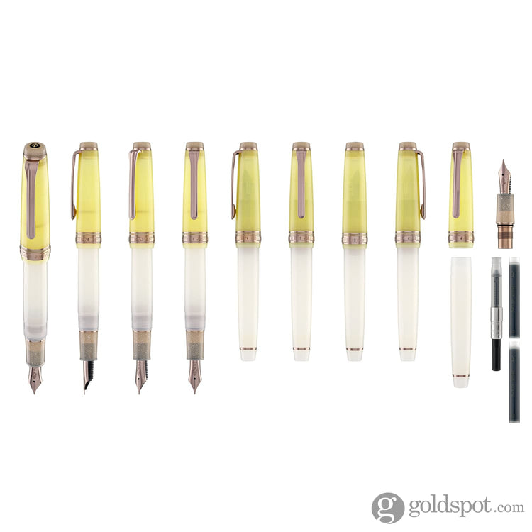 Sailor Professional Gear Slim ’Dried Flower 2’ Collection Fountain Pen in Marigold - 14k Gold Fountain Pen