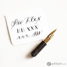 Tom’s Studio Fountain Pen Nibs Pro-Flex Fountain Pen Replacement Nib