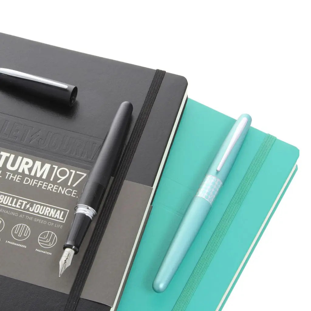 Pilot Metropolitand and Leuchtturm 1917 bullet journal starter set