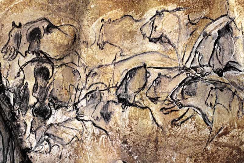 Where Does Ink Come From?